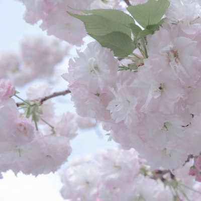 兽设森林场景创作福瑞交流群